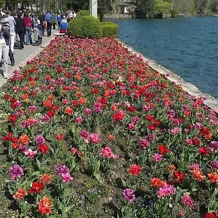 Lago Di Como Appartamento Mary Apartment